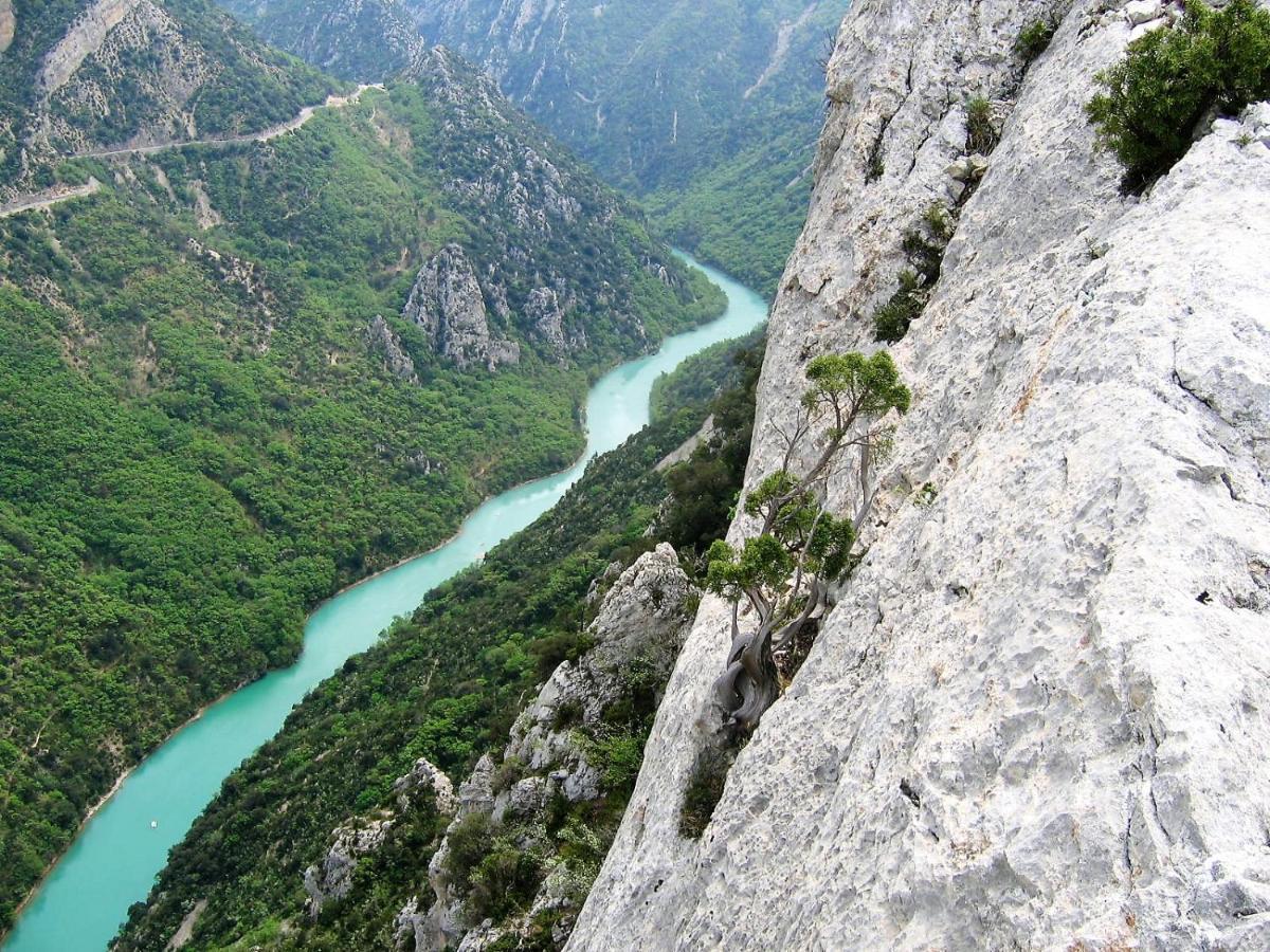 L'Orangette Panzió Régusse Kültér fotó
